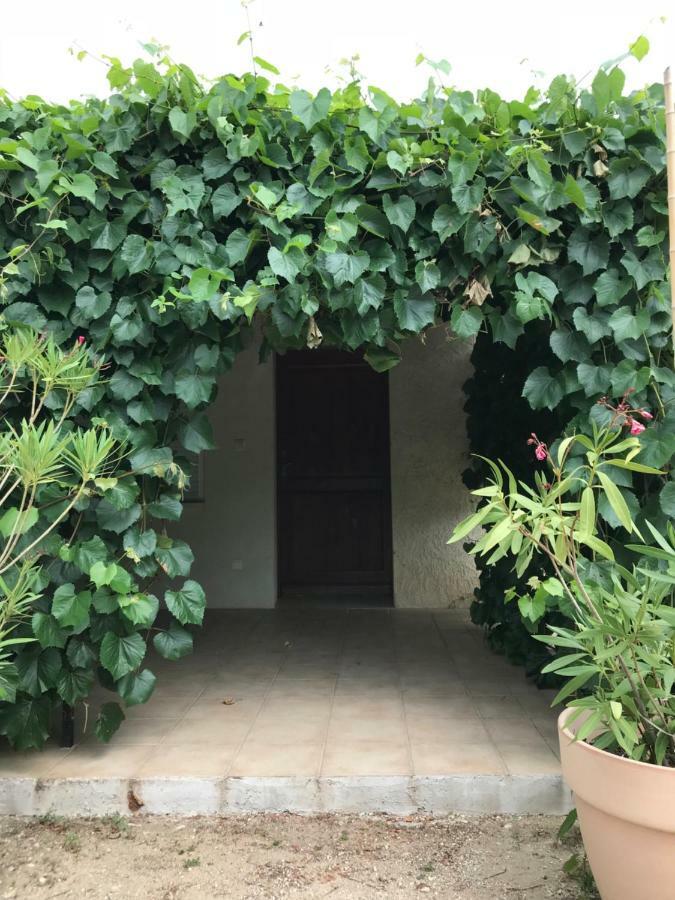 Les Buis Apartment Carpentras Exterior photo